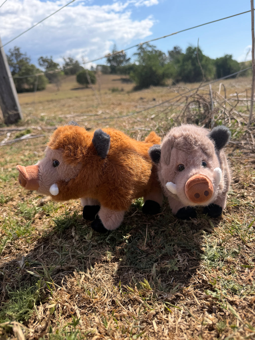 Pig Stuffy