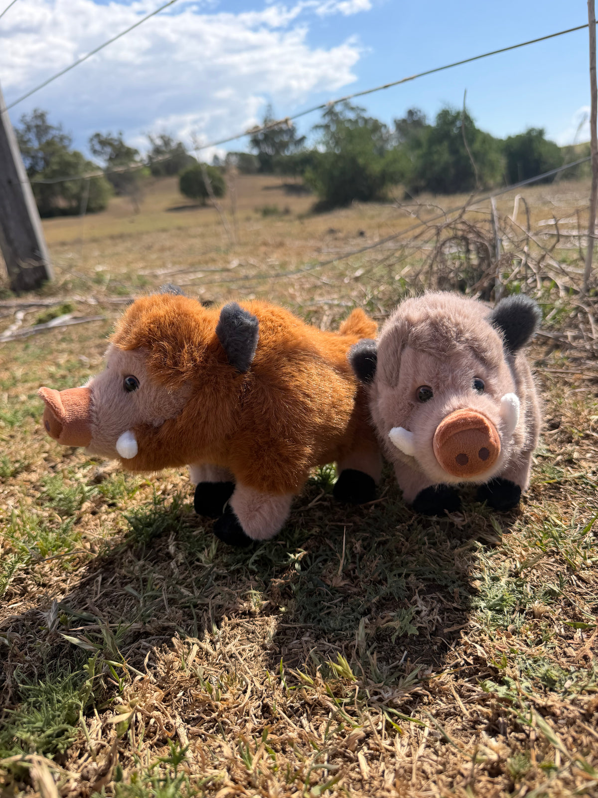 Pig Stuffy
