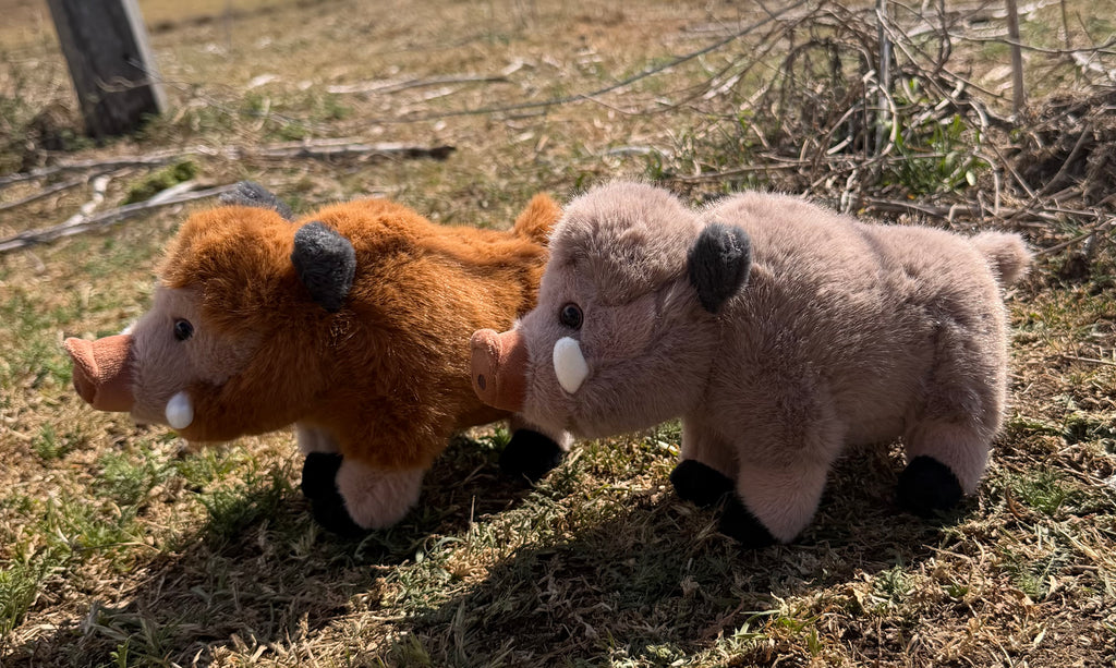 Pig Stuffy