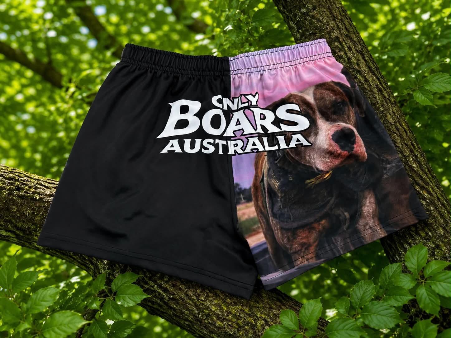 Kids Dogs Pride Footy Shorts