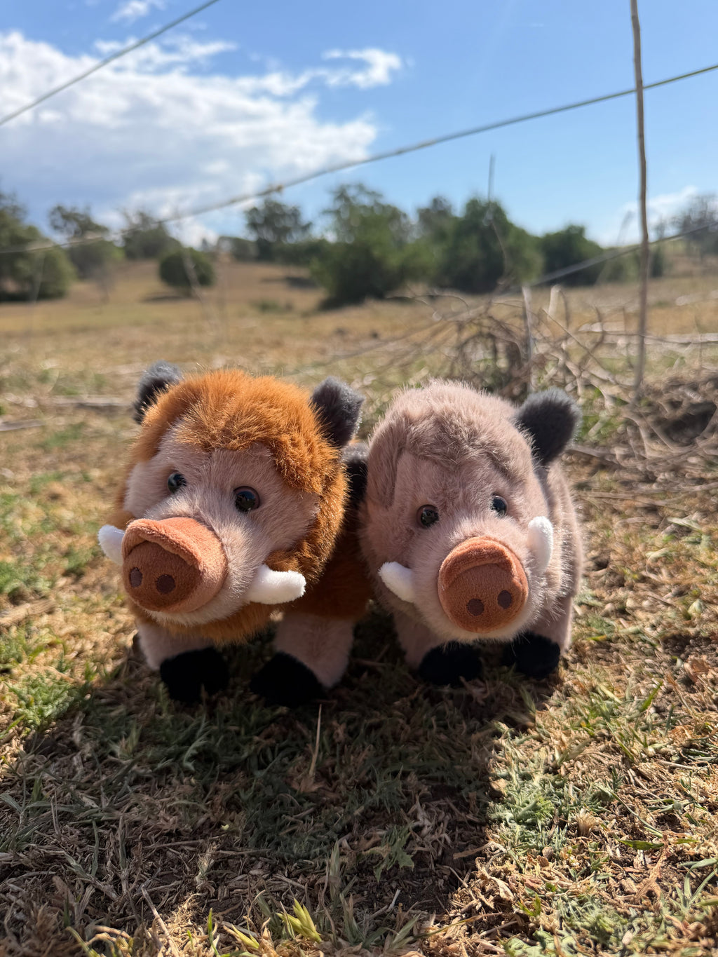Pig Stuffy