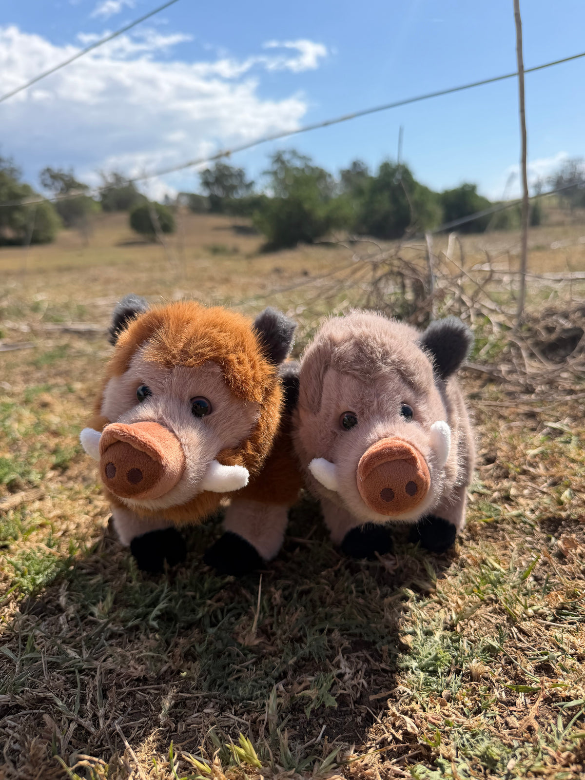 Pig Stuffy