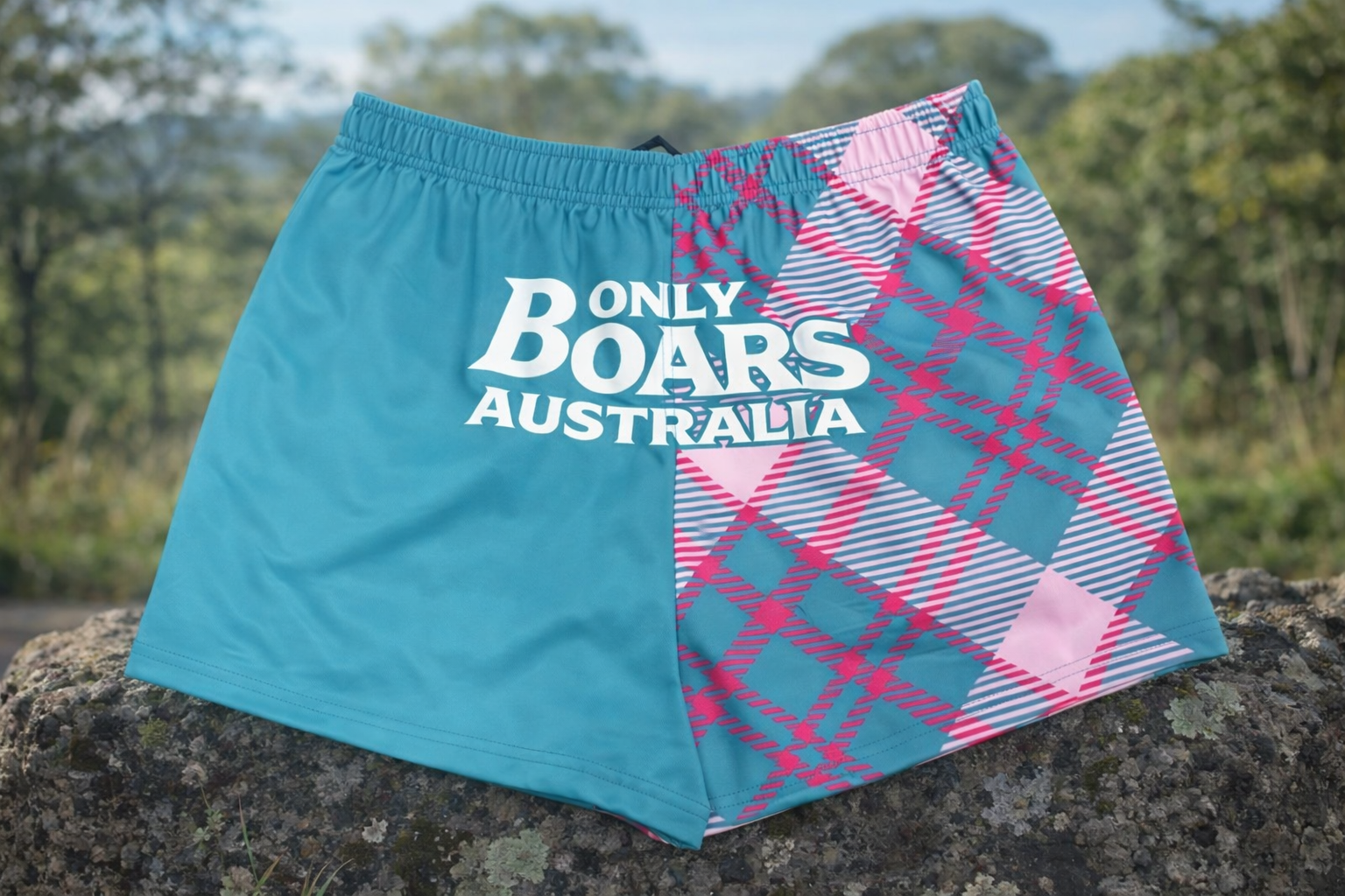 Blue/pink Plaid  Footy Shorts