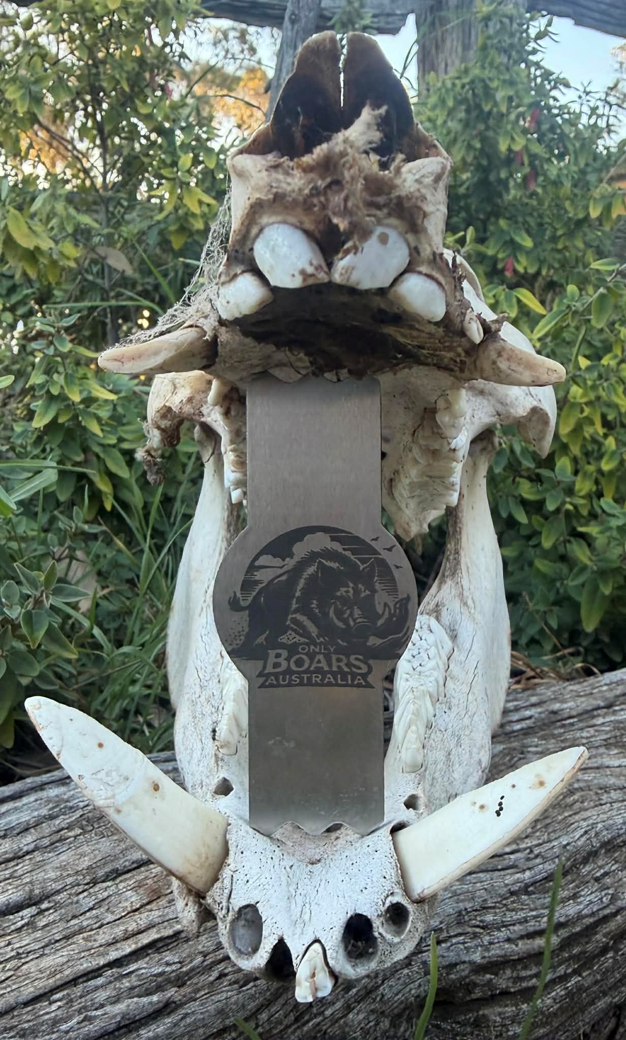 Only Boars brag stick