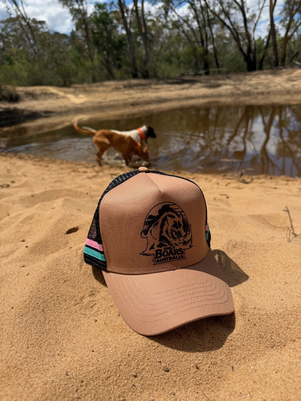 Brown trucker hat